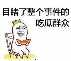 合法吃瓜群众,吃瓜群众眼中的明星生活